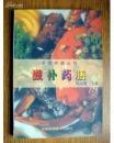 滋补药膳