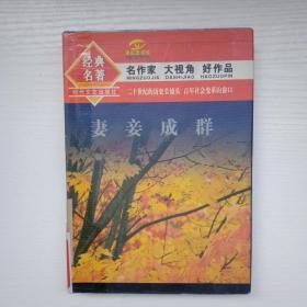 经典名著:妻妾成群(精装) 名作家 大视角 好作品