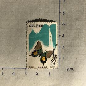 邮票 特56 蝴蝶 金斑喙凤蝶 （20-9）信销票 1963
