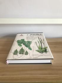 广西植物志 （第六卷 蕨类植物）