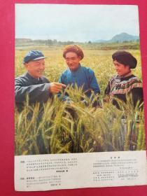 贵州画报 1976.4（8开大型画册）（热烈庆祝华国锋同志任中共中央主席、中央军委主席，粉碎“四人帮”专画集）（8开毛主席华主席标准像）