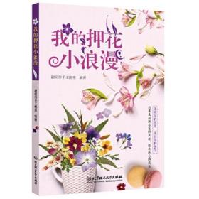 我的押花小浪漫（有趣、好玩、充满变化的押花手工书）