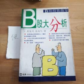 B股大分析