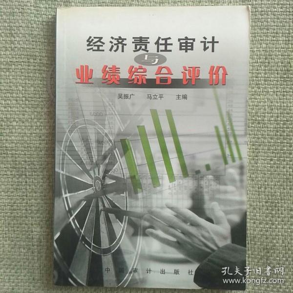 经济责任审计业绩综合评价  吴振广  中国审计出版社   2001