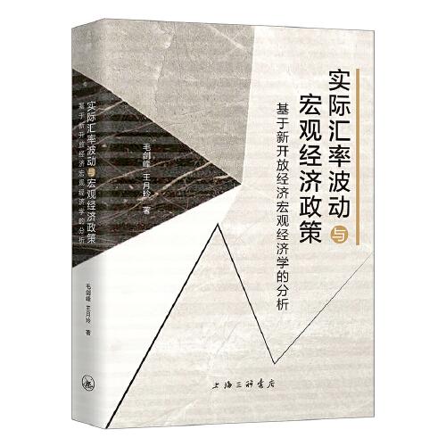 实际汇率波动与宏观经济政策—基于新开放经济宏观经济学的分析