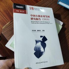 中国小微企业发展研究报告（2019） 没有开封