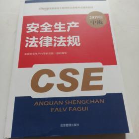 注册安全工程师2019教材安全生产法律法规全国中级注册安全工程师职业资格考试辅导教材2019版