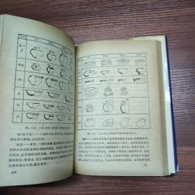 中国古陶瓷鉴赏-精装