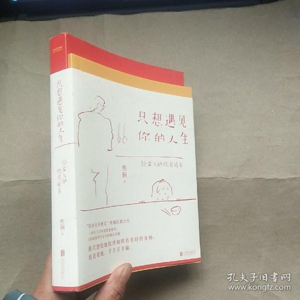 只想遇见你的人生（一封给女儿写了32年的20万字情书，台湾饮食文学教父焦桐扛鼎之作）