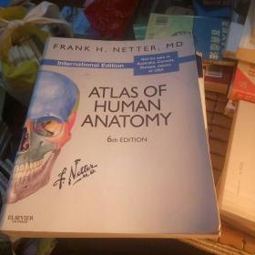 Atlas of Human Anatomy, International Edition人体解剖学图谱，国际版，第六版 英文原版