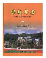 那坡年鉴2017