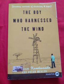 THE BOR WHO HARNESSED THE WIND