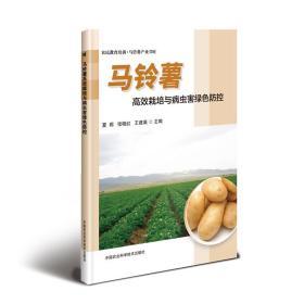 马铃薯种植加工技术书籍 马铃薯高效栽培与病虫害绿色防控