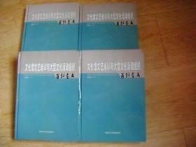 文化馆文艺培训与大型文化活动组织  (第1-4卷 全4册)