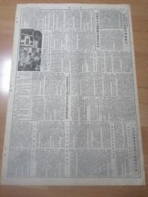 解放日报1955年11月14号完整不缺