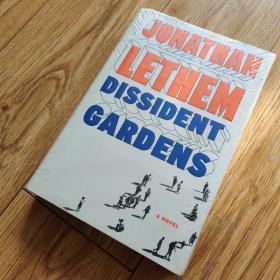 Dissident Gardens : A Novel【搬家倾售，多选折扣】