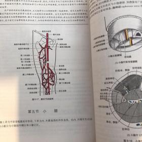 人体解剖学（第3版）/全国高等学校医药学成人学历教育（专科起点升本科）规划教材