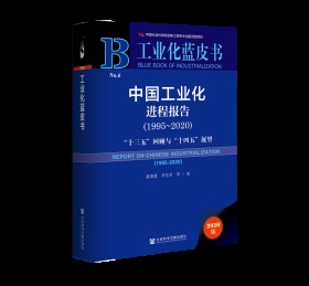 中国工业化进程报告（1995～2020）：“十三五”回顾与“十四五”展望                 工业化蓝皮书              黄群慧 李芳芳 等著