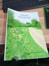 DAVID HOCKNEY  THE ARRIVAL OF SPRING  具体看图