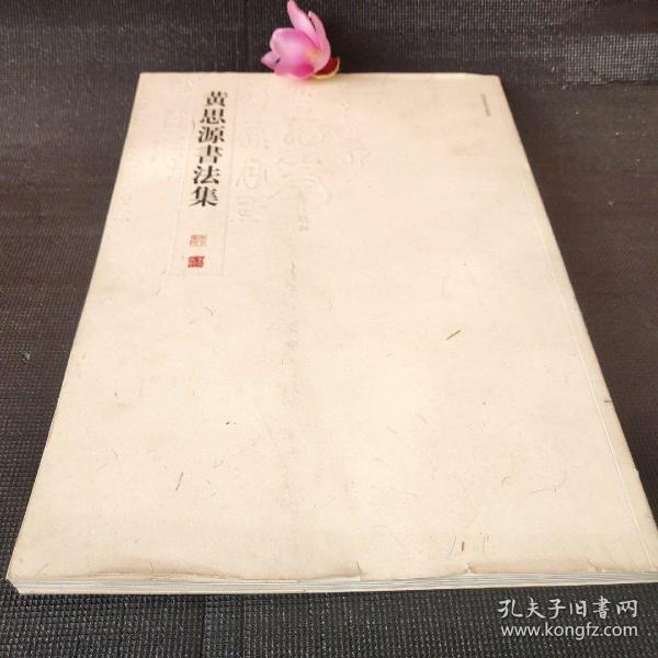 黄思源书法集