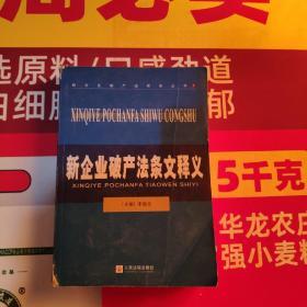 新企业破产法实务丛书：新企业破产法条文释义