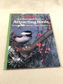 An Illustrated Guide to Attracting Birds 插图本诱鸟指南