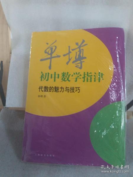 单墫初中数学指津：代数的魅力与技巧