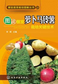 马铃薯种植加工技术书籍 图说棚室萝卜马铃薯栽培关键技术
