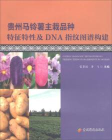 马铃薯种植加工技术书籍 贵州马铃薯主栽品种特征特性及DNA指纹图谱构建