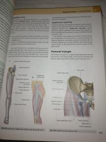 【英文原版】GRAY'S Anatomy for Students 学生版 格雷氏解剖学 第二版 第2版 特重件请协商邮费