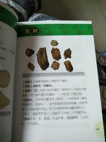 袖珍中药速学速记图谱