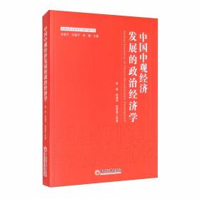 正版书 中国中观经济发展的政治经济学