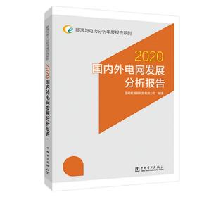 能源与电力分析年度报告系列2020国内外电网发展分析报告