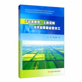 产权有效性、土地流转与农业家庭经营分工