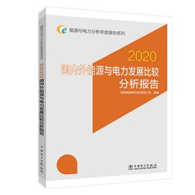 2020国内外能源与电力发展比较分析报告