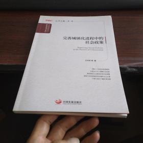 国务院发展研究中心研究丛书：完善城镇化进程中的社会政策