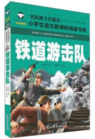 （彩图注音版）名校班主任推荐*小学生语文新课标必读书系：铁道游击队