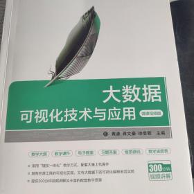 大数据可视化技术与应用-微课视频版