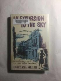 An Excursion To The Sky