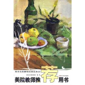 美院教师推荐用书－－高考色彩静物经典范本（2）