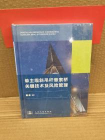 单主缆斜吊杆悬索桥关键技术及风险管理