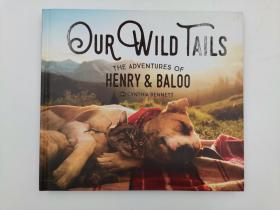 Our Wild Tails: The Adventures of Henry and Baloo 猫狗一家亲