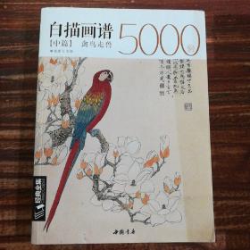 白描画谱5000例中篇(禽鸟走兽)/经典全集系列丛书