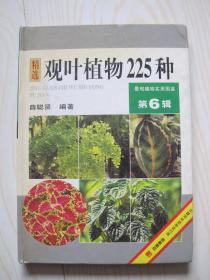 观叶植物225种