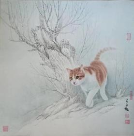 井超  可合影 牛 老虎 狼 猫咪 马 鹅