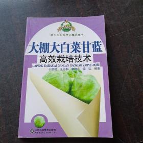 跟王乐义学种大棚菜丛书：大棚大白菜甘蓝高效栽培技术、