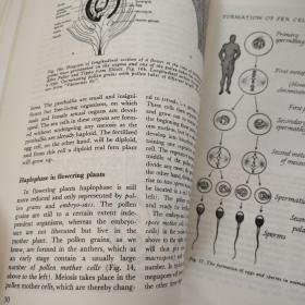 GENETIC RESEARCH（遗传学研究）