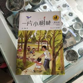 漂流屋·王一梅儿童文学精品系列：一片小树林