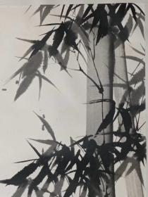 保真书画，山东著名画家尹延新先生国画一幅65×39.5cm，原装裱镜心