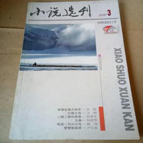 小说选刊2010年第3期